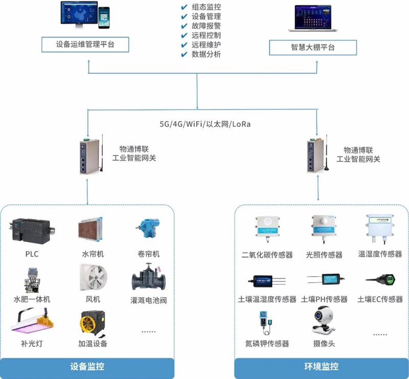 IT服务到底指的是什么？让我们一起探索一下！
